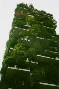 Verticaal tuinieren tegen een wand met groene planten in een modern tuincentrum